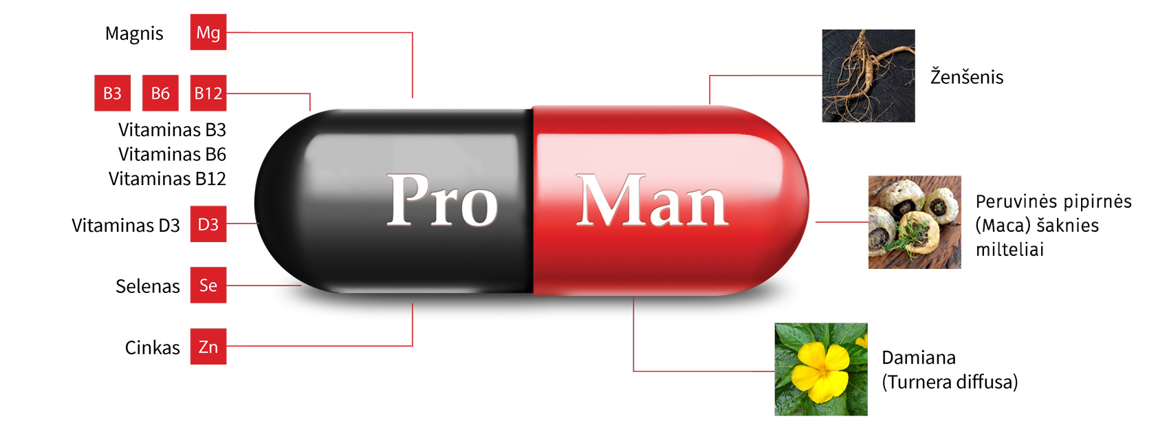 „ProMan® Plus“